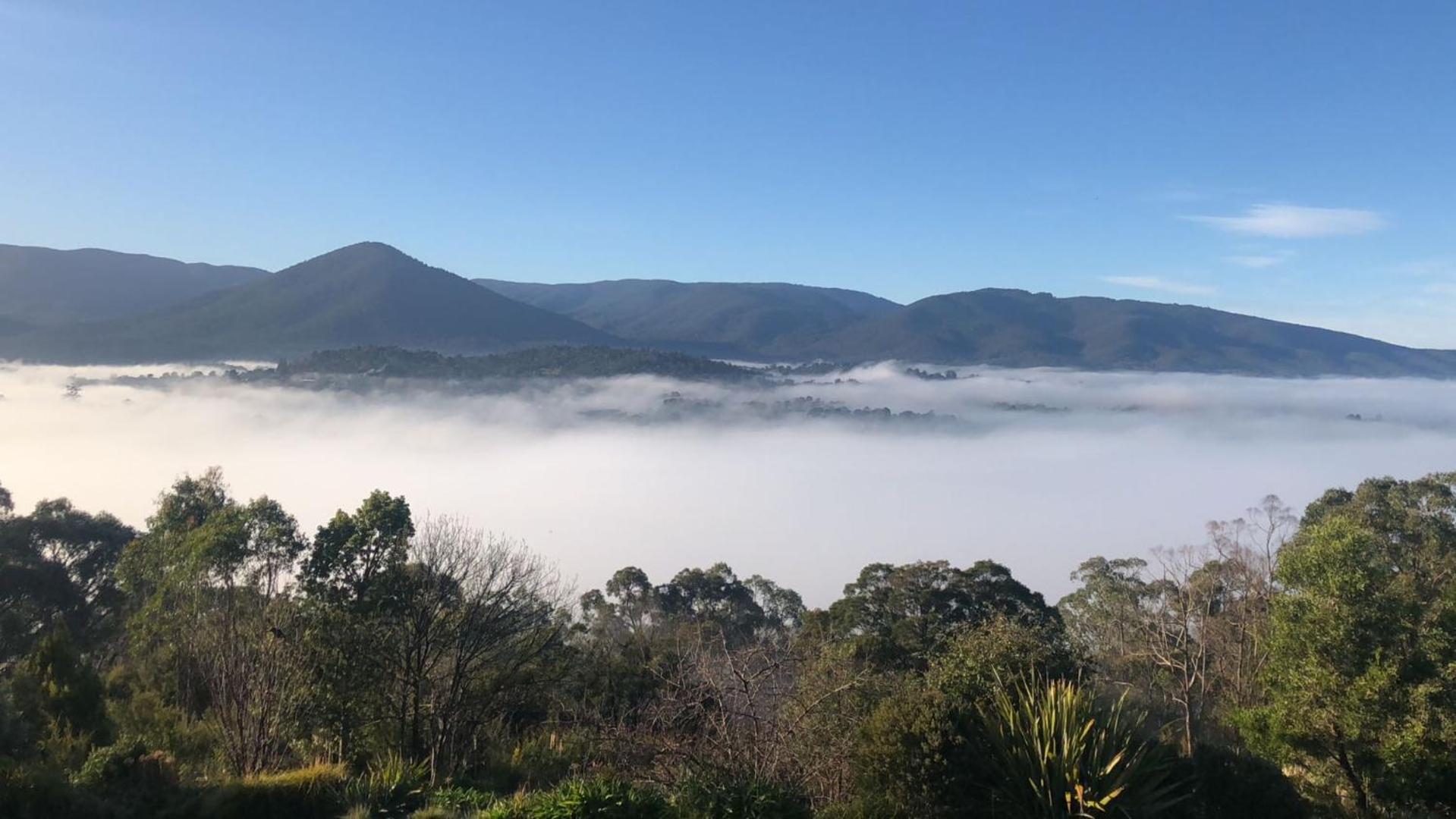 Beauty Of Healesville Exterior photo